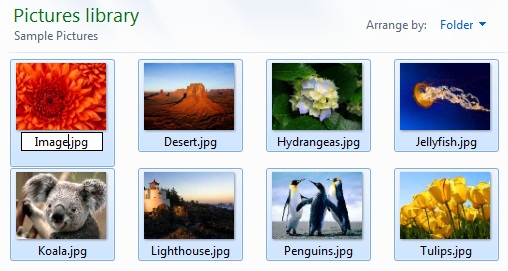 Rename Multiple Files simultaneously Rename Multiple Files simultaneously